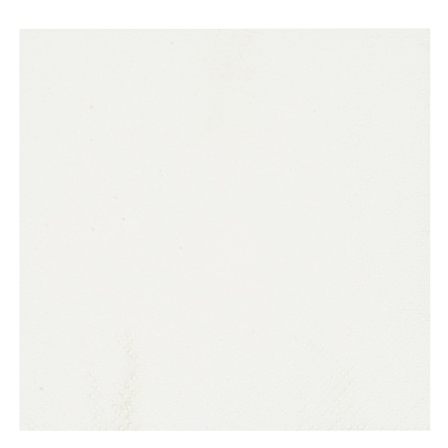 Servett 2-lags 24x24cm vit 100st/fp